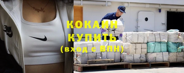 дмт Ладушкин