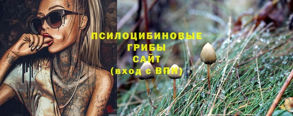 молекула духа Липки