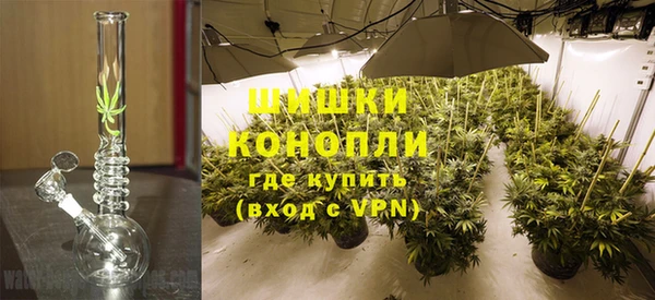 молекула духа Липки
