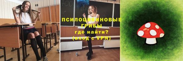 молекула духа Липки