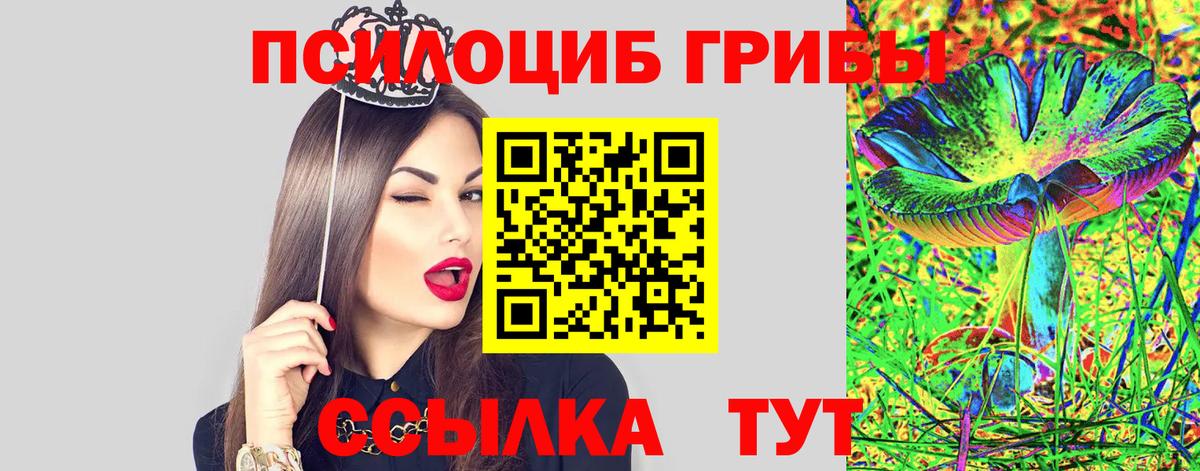Псилоцибиновые грибы прущие грибы Черемхово
