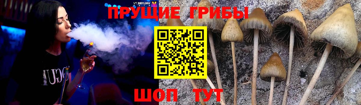 Черемхово  купить закладку  Вход с VPN  Псилоцибиновые грибы мухоморы 