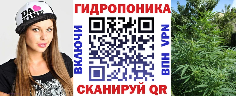 Конопля планчик  Черемхово 